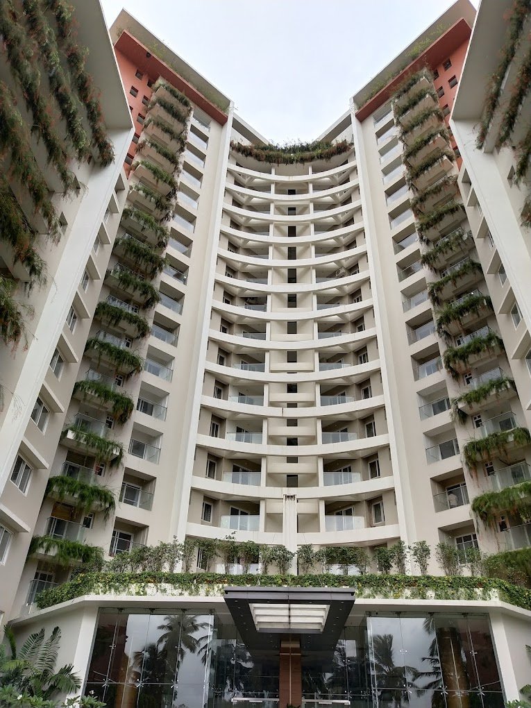 Mohtisham Canopy