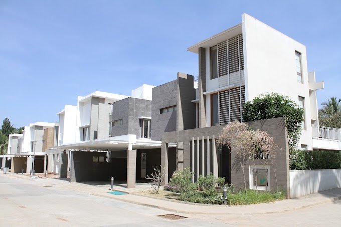 Brigade Palmgrove
