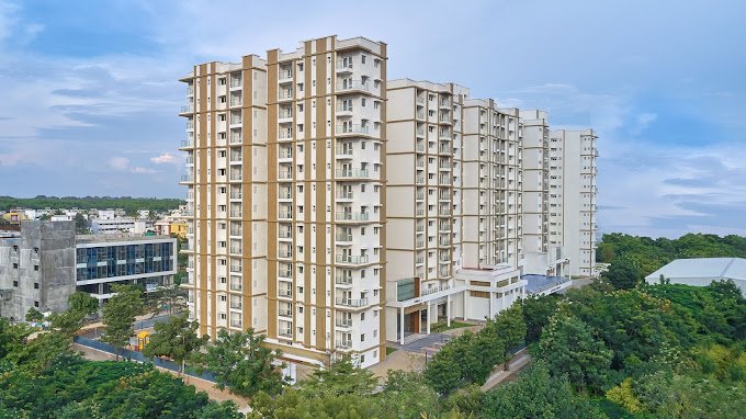 Prestige Pinewood